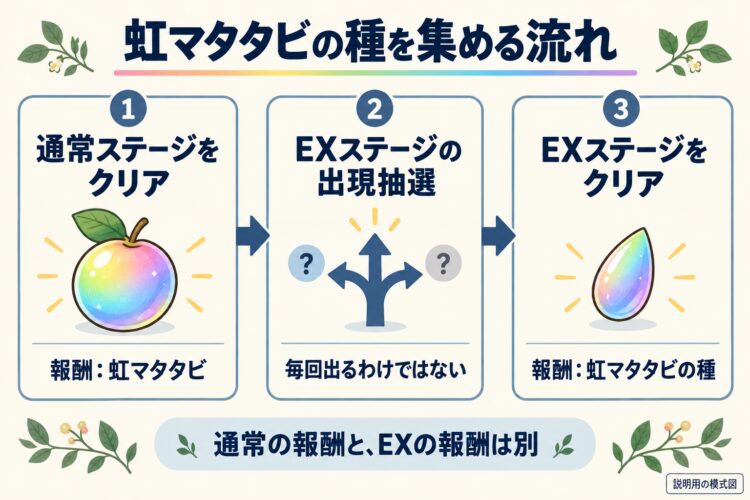 通常ステージで虹マタタビを入手し、出現抽選を経てEXをクリアすると虹マタタビの種を入手する流れ